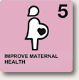 MDG5_Maternal Health